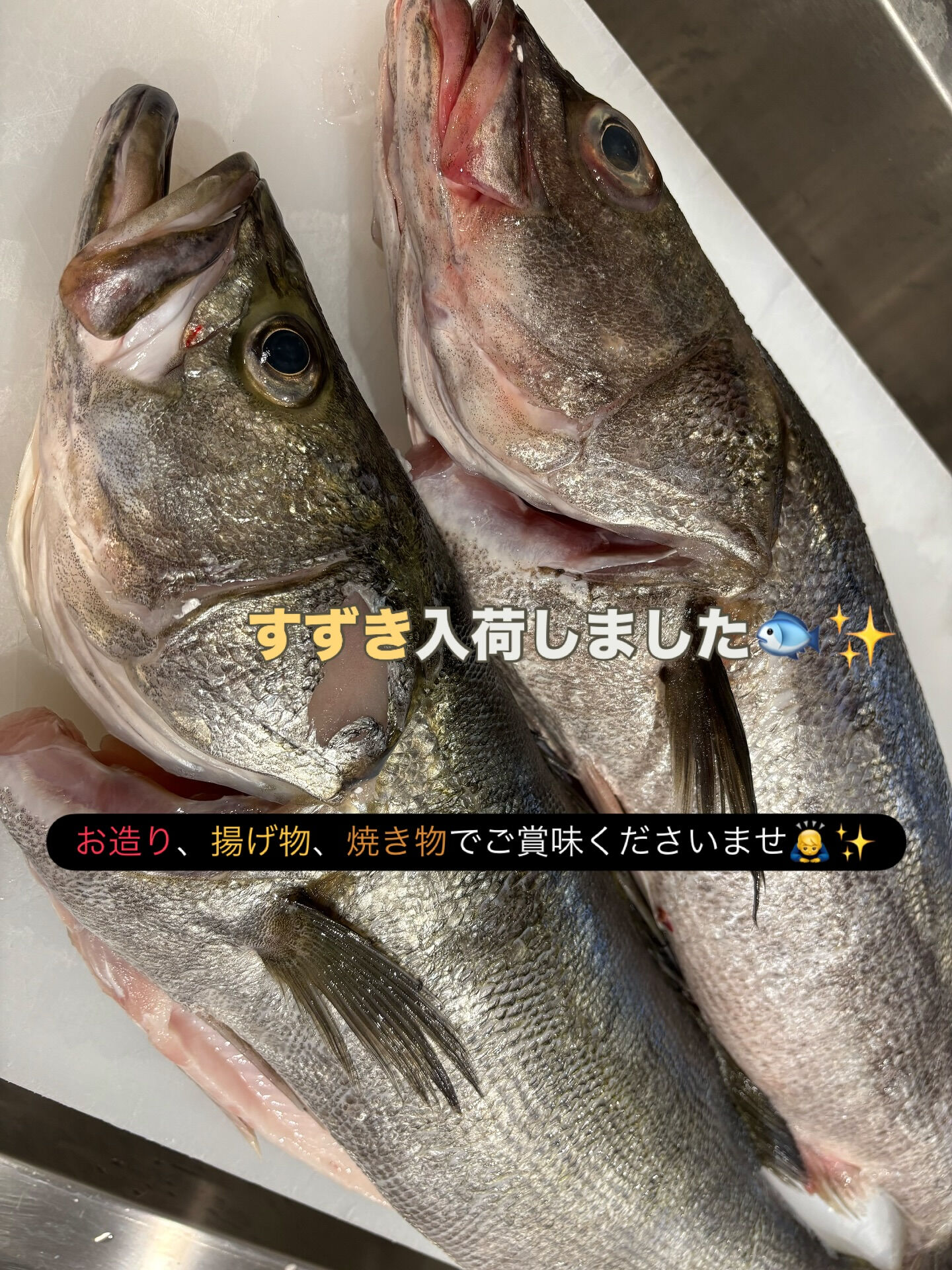 すずき入荷しました🐟✨️