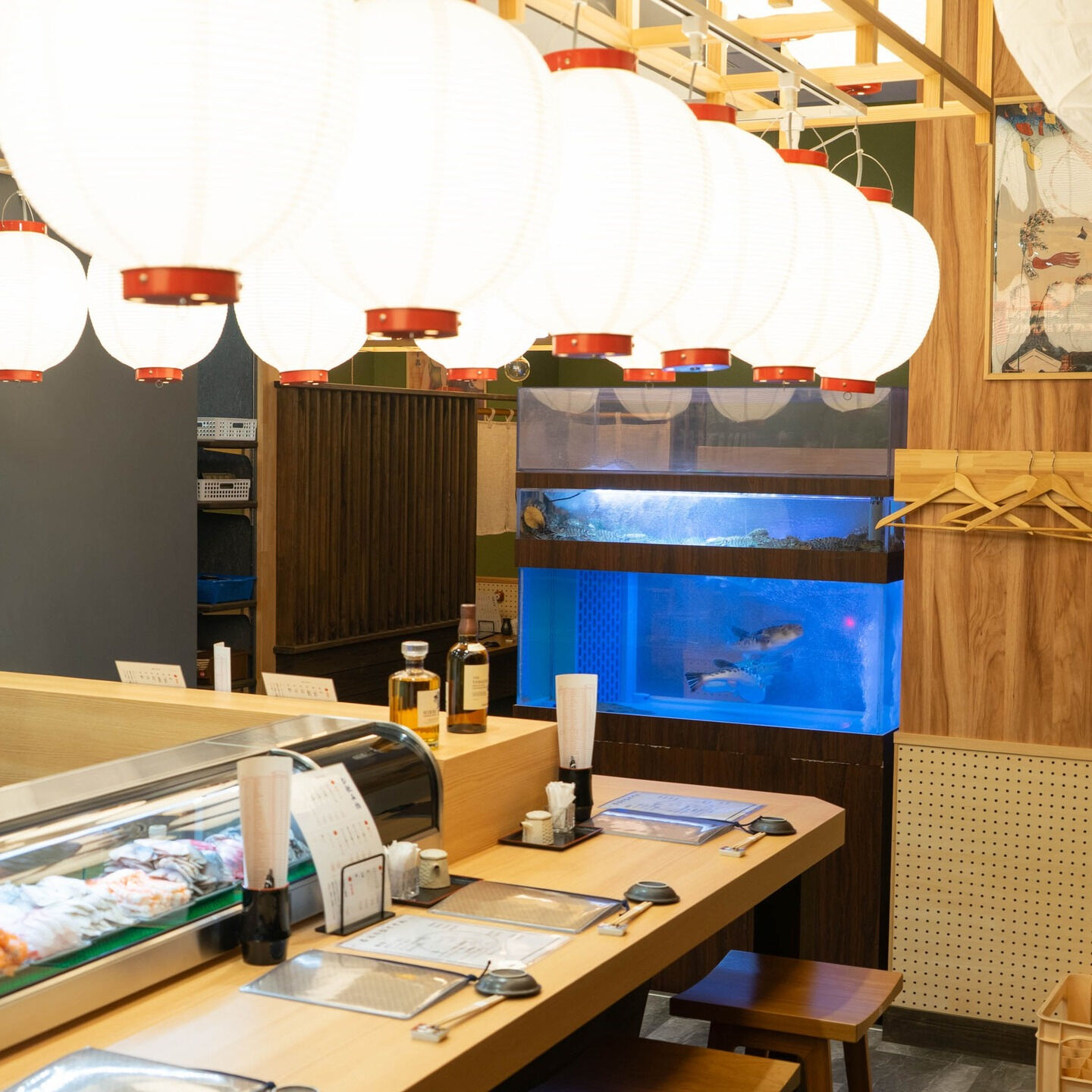こんにちは！こいこい寿司です🍣